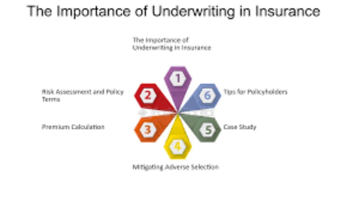 The Importance of Underwriting in the U.S. Insurance Sector